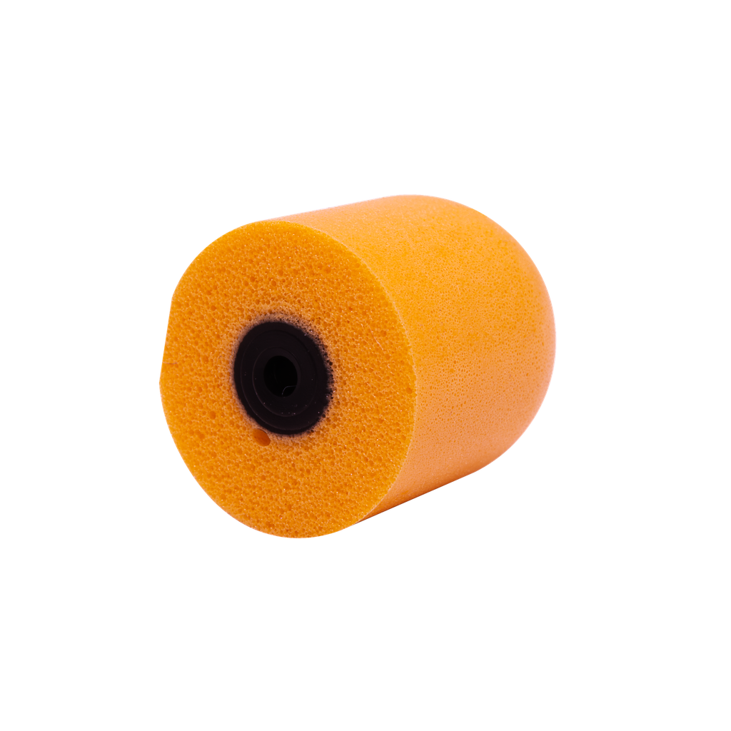 Premium Noise Reduction Foam Tips & Plug